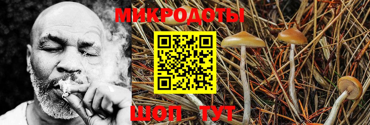 Галлюциногенные грибы мухоморы Новоуральск
