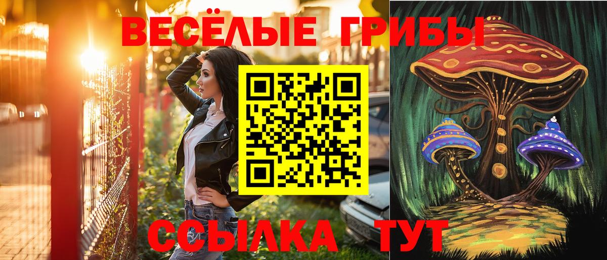 наркотики  Вход с VPN  Новоуральск  Псилоцибиновые грибы GOLDEN TEACHER 